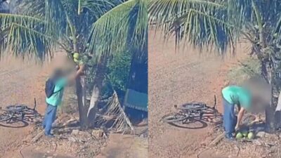 Câmera flagra homem furtando cocos em frente a residência em Rondonópolis; veja vídeo