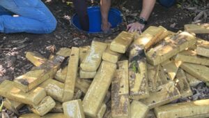 Polícia Civil apreende 305 tabletes e derruba esquema de facção em Rondonópolis; veja vídeo