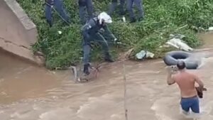 Homem tenta fugir da PM pulando em rio, mas é preso; Veja vídeo