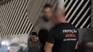 Cadela idosa tem costelas quebradas após agressão e caso revolta moradores; Veja vídeo