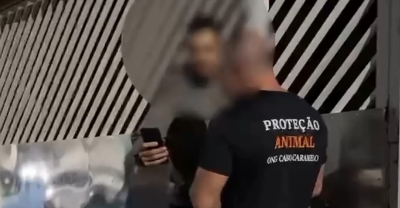 Cadela idosa tem costelas quebradas após agressão e caso revolta moradores; Veja vídeo