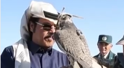 Falcões são soltos na natureza para salvar espécie ameaçada e restaurar população; Veja vídeo