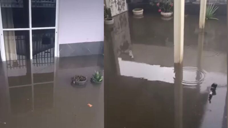 Moradora registra água de esgoto parada dentro de residência após rede entupida em VG; veja vídeo