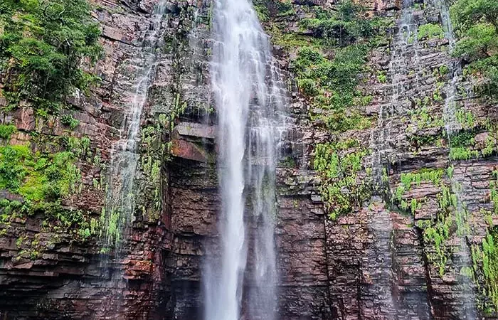 Corajoso ou sem noção? Homem tomando banho no topo de cachoeira em Vila Bela viraliza; veja vídeo
