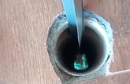 Filhote é salvo de fossa de 6 metros após resgate tenso; Veja vídeo