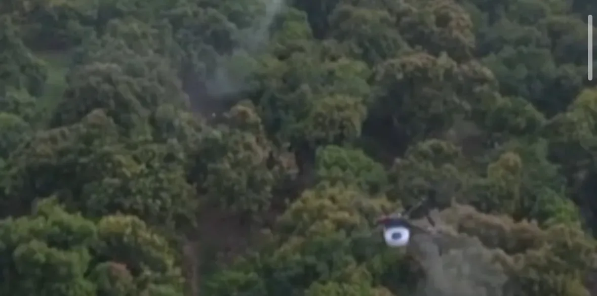 China amplia uso de drones e robôs e acelera mecanização na agricultura em áreas montanhosas; Veja vídeo