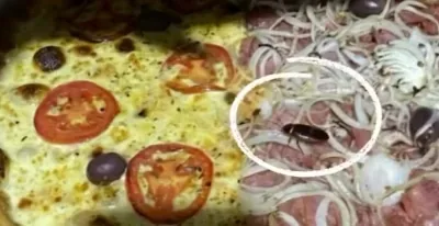 Cliente tenta aplicar golpe com barata fake em pizza e acaba desmascarada após análise de imagem; Veja vídeo