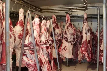 Carne de MT Sob Alerta: China Suspende Frigorífico e Acende Sinal no Mercado Exportador