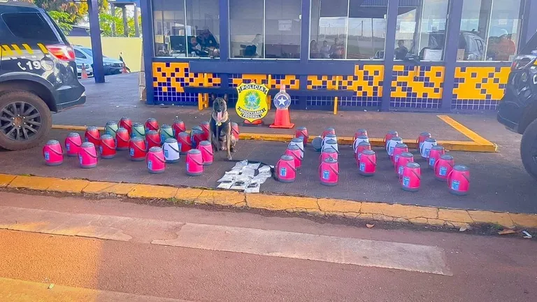 PRF Intercepta caminhão com drogas e remédios ilegais escondidos em garrafas térmicas na BR-163 em MT; veja vídeo