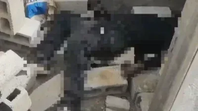 Polícia investiga corpo em decomposição encontrado em obra em São Sebastião no Distrito Federal; veja vídeo