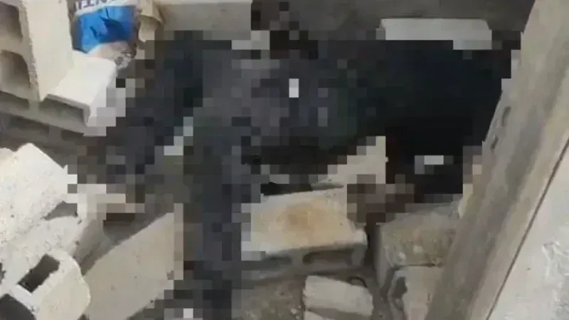 Polícia investiga corpo em decomposição encontrado em obra em São Sebastião no Distrito Federal; veja vídeo