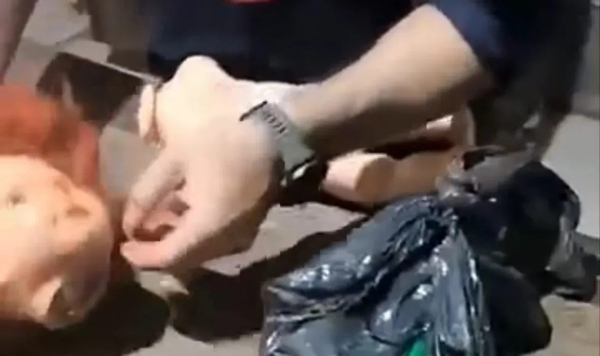 Polícia prende suspeito de tráfico e encontra drogas escondidas em boneca; Veja vídeo