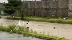 Crianças nadam em água de enchente e cena gera alerta em Ananindeua; veja vídeo