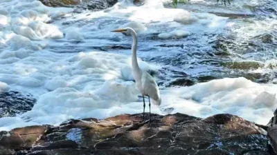 Espuma branca cobre rio após estiagem; veja vídeo