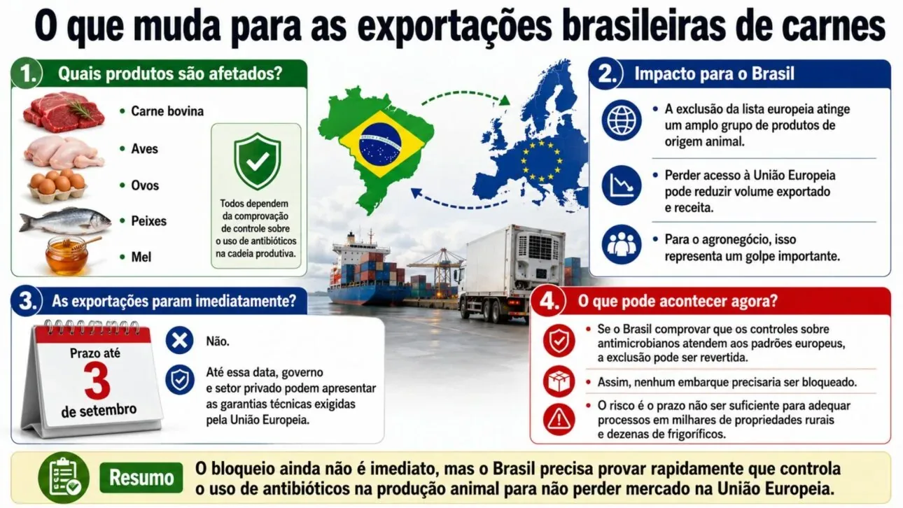 União Europeia barra carne brasileira e decisão acende alerta no agronegócio