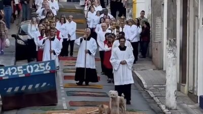 Doguinhos aparecem em Procissão de Corpus Christi, caminham sobre tapetes; Veja vídeo