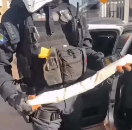 Homem é preso ao transportar banana de dinamite em Pontes e Lacerda; veja vídeo