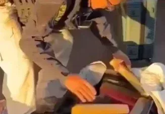 Cão farejador encontra 35 tabletes de maconha em ônibus em Rondonópolis; veja vídeo