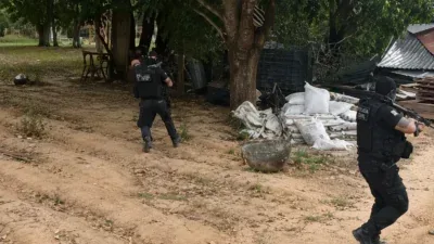 Polícia apreende 1,8 tonelada de maconha em operação; Veja vídeo