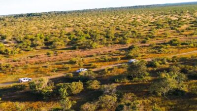 Polícia encontra plantação de maconha com cerca de 5 mil pés em fazenda de MT; veja vídeo