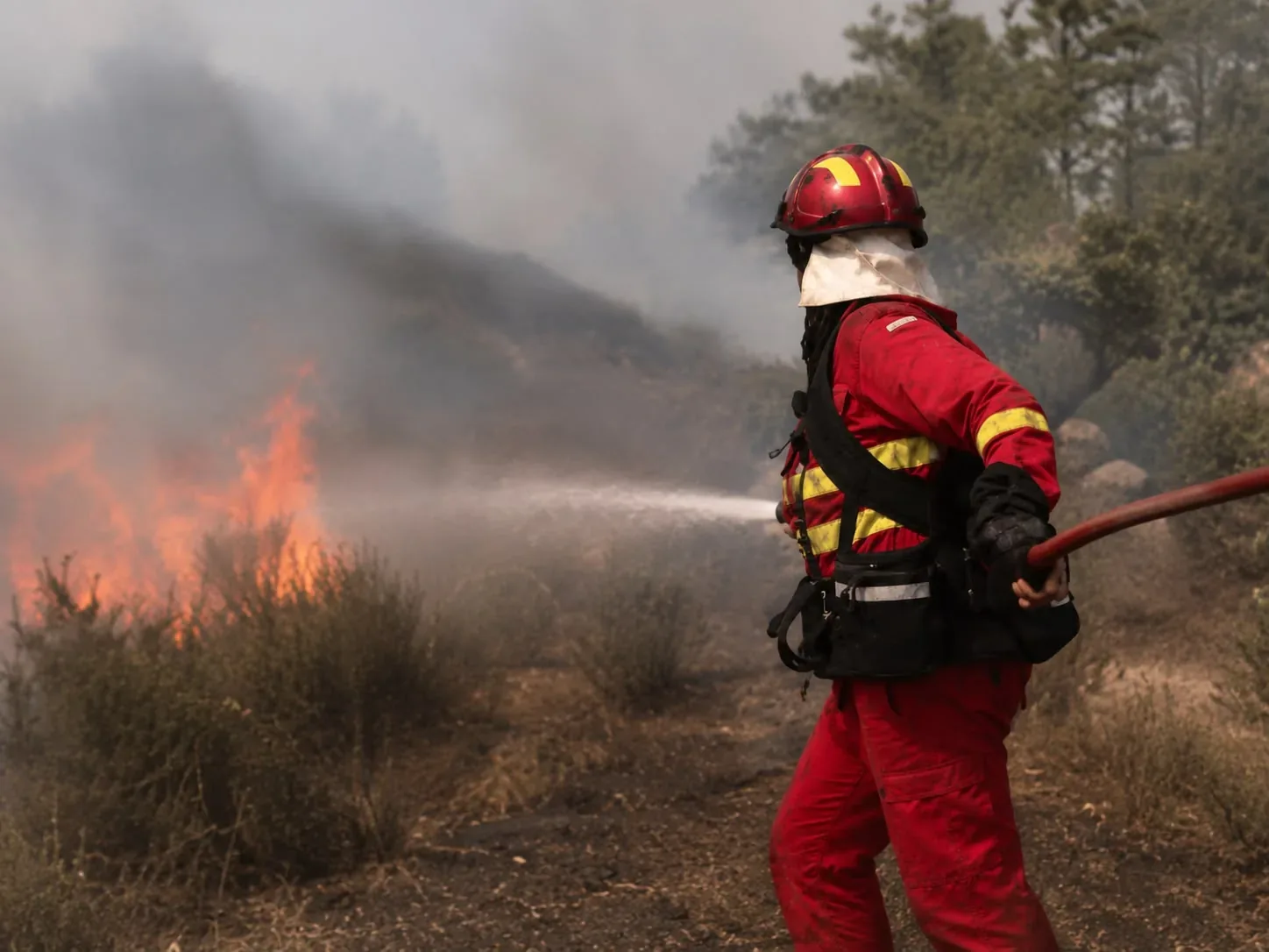 Incêndio florestal devastador deixa 12 mortos e provoca evacuações; Veja vídeo