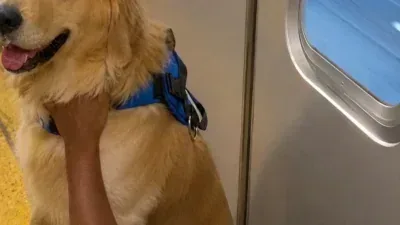 Tutor arrisca a própria vida para resgatar cachorro nos trilhos; Veja vídeo