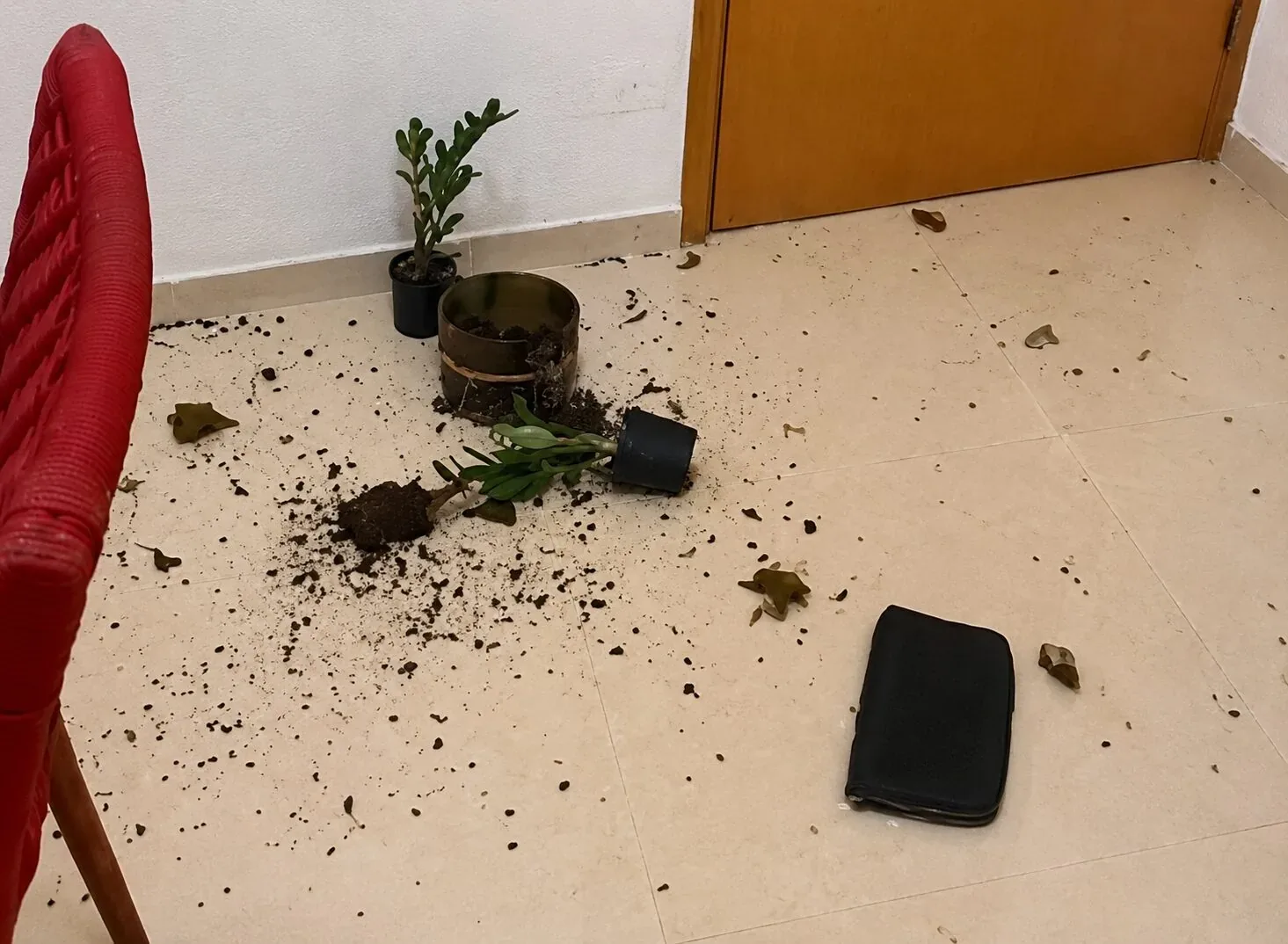 Gabriella expõe vídeos, mostra casa destruída e faz graves acusa ções contra Cartolouco; Veja vídeo