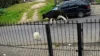 Vaca sai arrastando portão de ferro pelas ruas e cena impressiona moradores; veja vídeo
