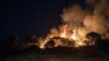 Incêndios atingem vegetação às margens da MT-325 em Alta Floresta; veja vídeo