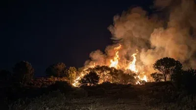 Incêndios atingem vegetação às margens da MT-325 em Alta Floresta; veja vídeo