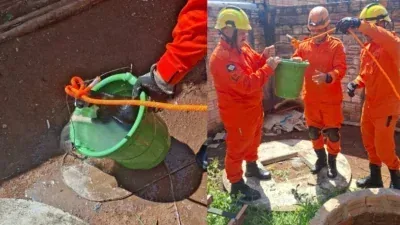 Bombeiros resgatam gato preso em cisterna de 12 metros em Alta Floresta; veja vídeo