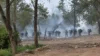 Grupo armado vindo da Colômbia é denunciado em território brasileiro; Veja vídeo