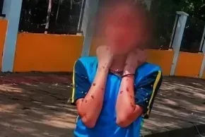 Ataque de abelhas causa correria perto de escola e motoboy resgata criança; Veja vídeo