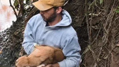 Cadela é resgatada após quatro dias presa em fenda; Veja vídeo