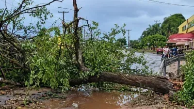 Temporal derruba postes, deixa moradores sem energia e causa estragos em Cáceres; veja vídeo