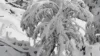 Neve cobre região montanhosa e interrompe trânsito; veja vídeo
