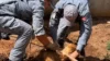 Cachorro cai em buraco de 3,5 metros e é resgatado pelos bombeiros; Veja vídeo