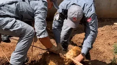 Cachorro cai em buraco de 3,5 metros e é resgatado pelos bombeiros; Veja vídeo